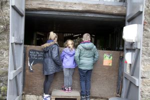 landscape feb 2016 cumbria 103 sm-c41.jpg